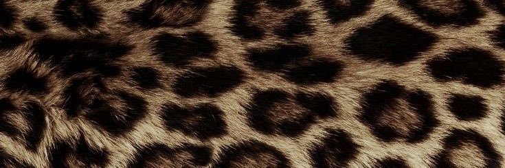 ⌖ banner