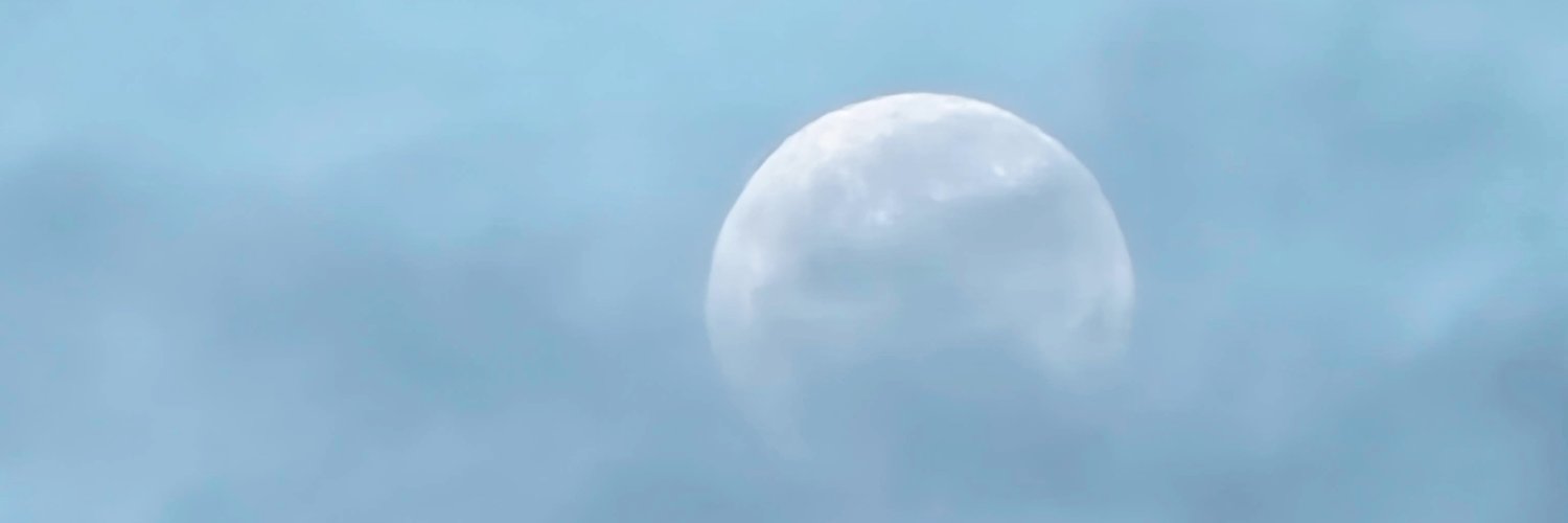 TaylorHemms97's profile banner image