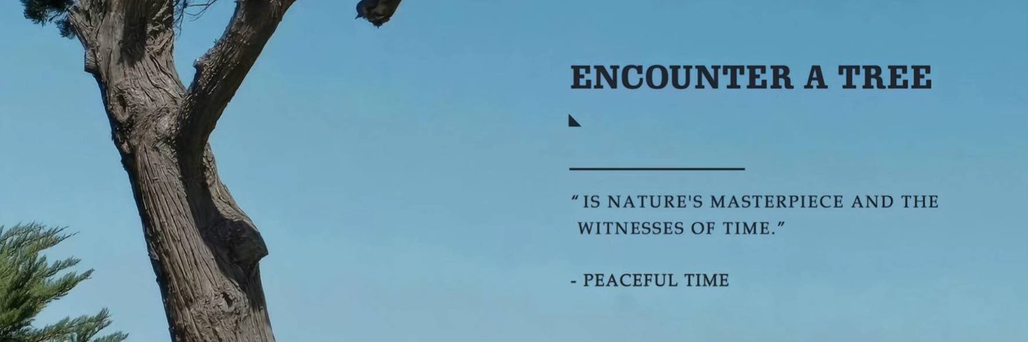 sikes_oa's profile banner image