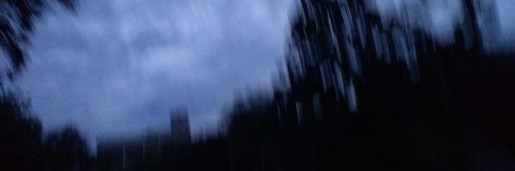midazolammark's profile banner image