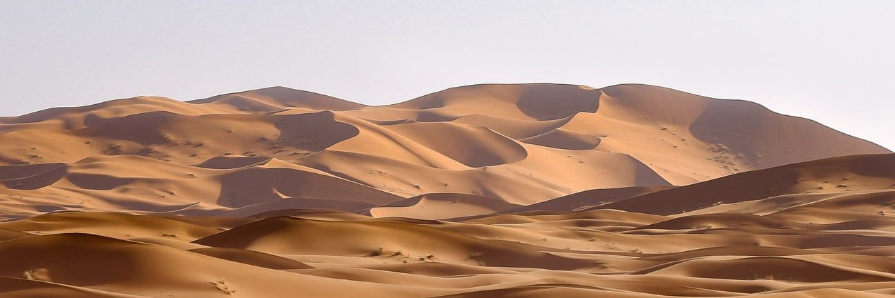 mlagus's profile banner image