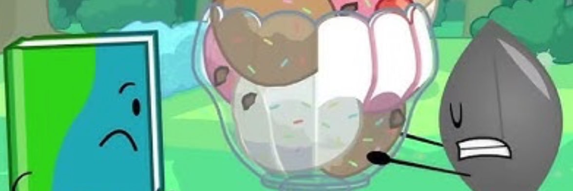 bookwormofBFDI's profile banner image
