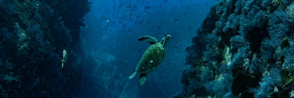 efrostee Profile Banner