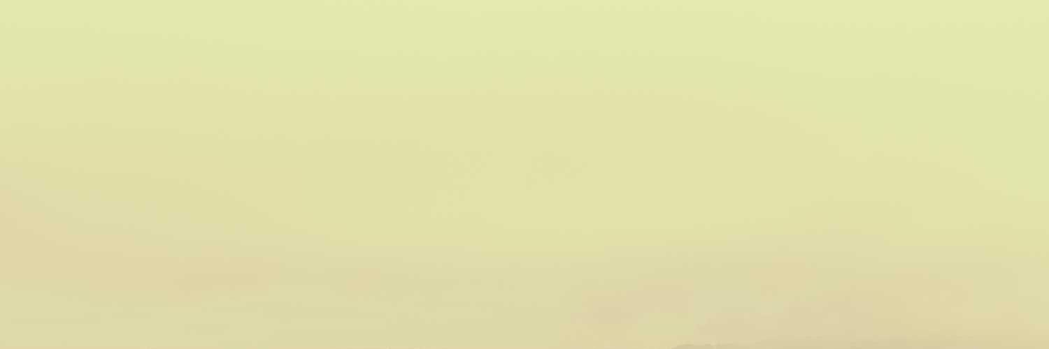 Blonde Bomber banner