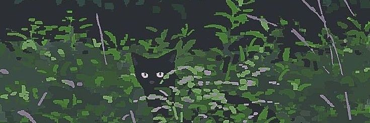 MedardaStar's profile banner image