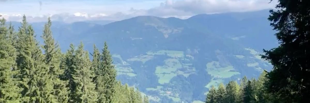Nephrite🥧 banner