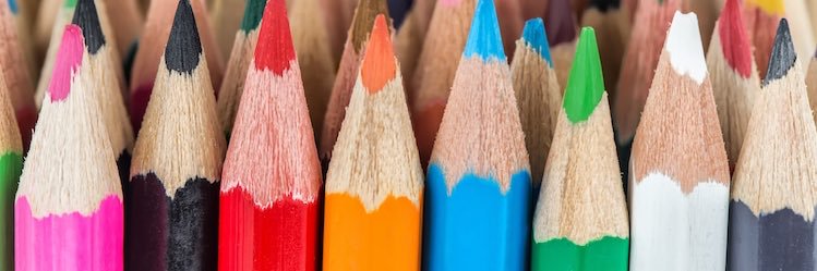 Disgruntled Pelican banner