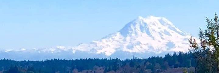 ottocarl's profile banner image