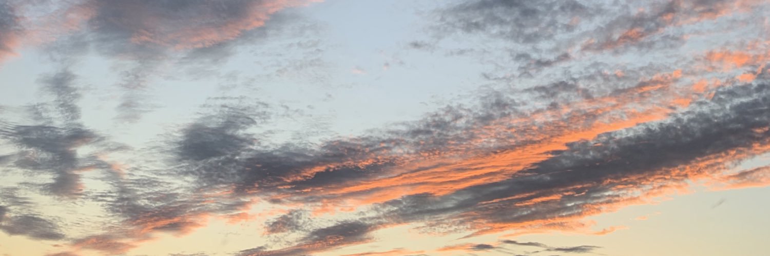 emsabean's profile banner image