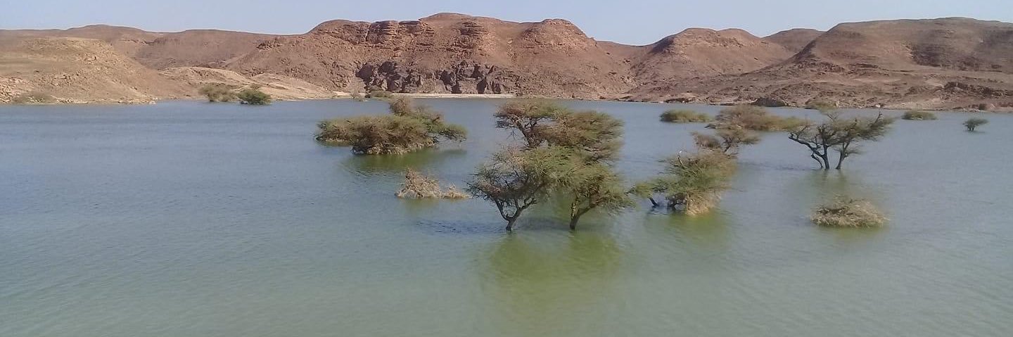 سليم ابن عيد banner