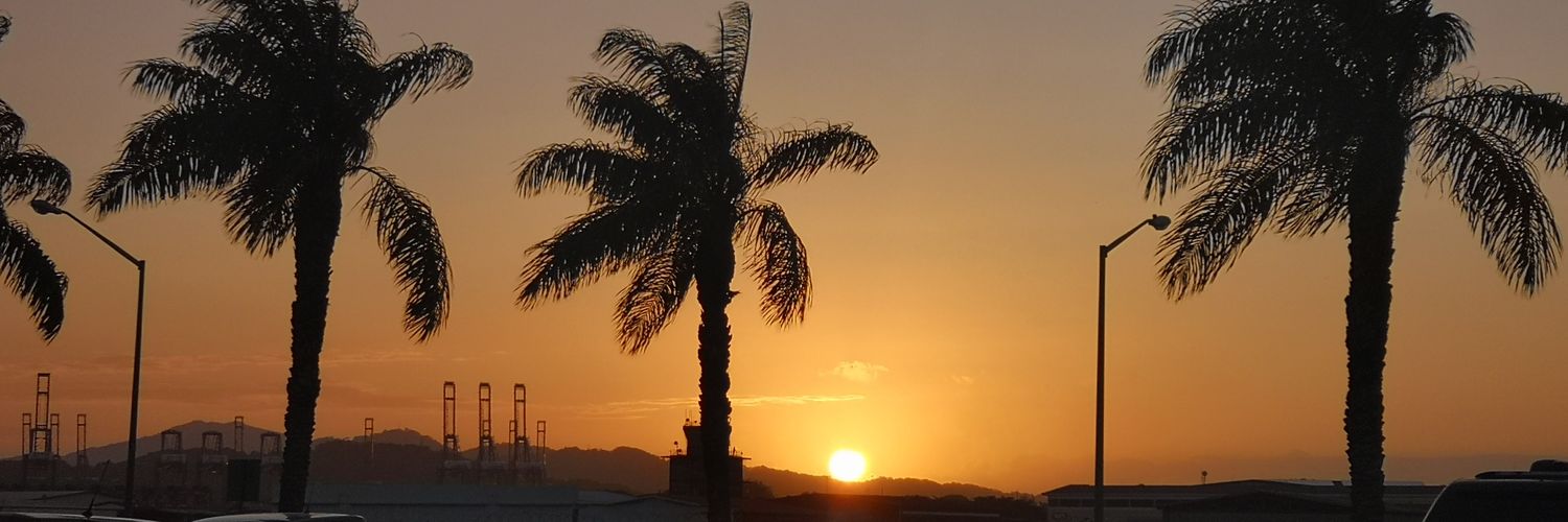 monicacostntini's profile banner image