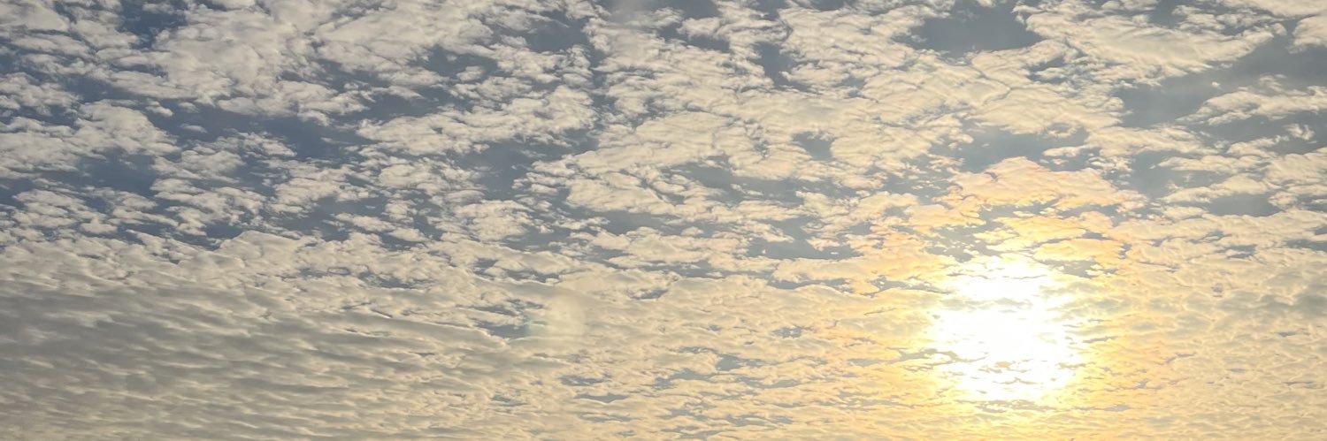 aibo@取引,Tag垢 banner