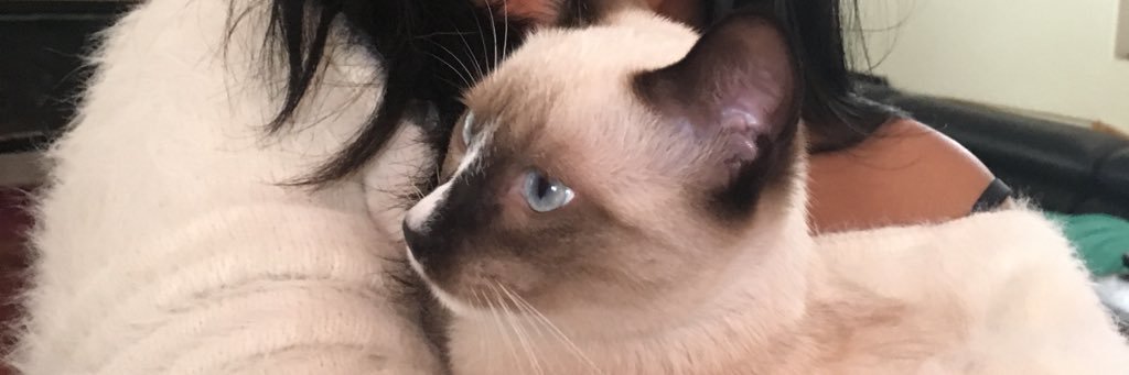 maimaimaimaime's profile banner image