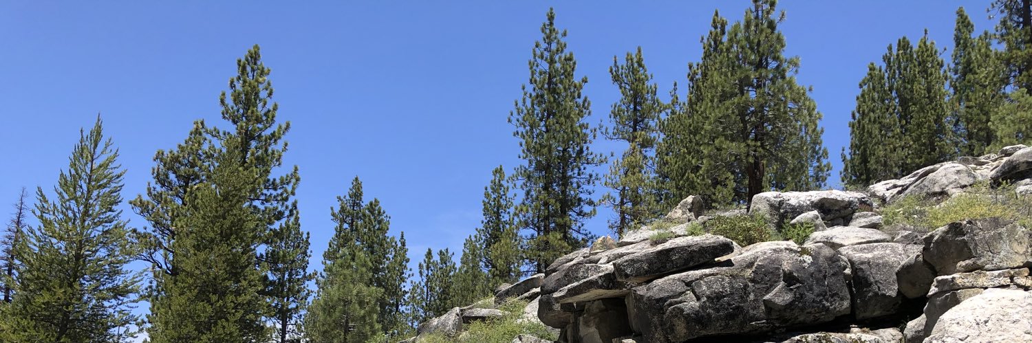 AndrewNasta's profile banner image