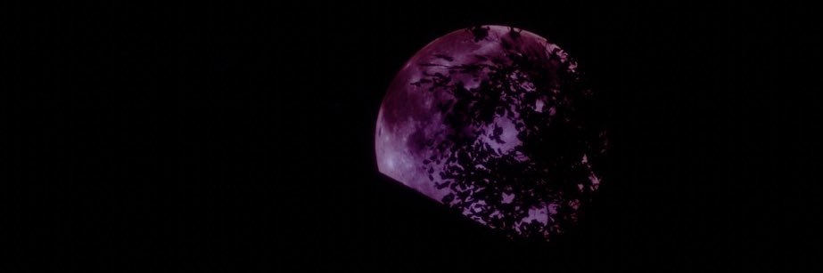 𝐌𝐫𝐊𝐚𝐞𝐫𝐮_𝐑𝐓 banner