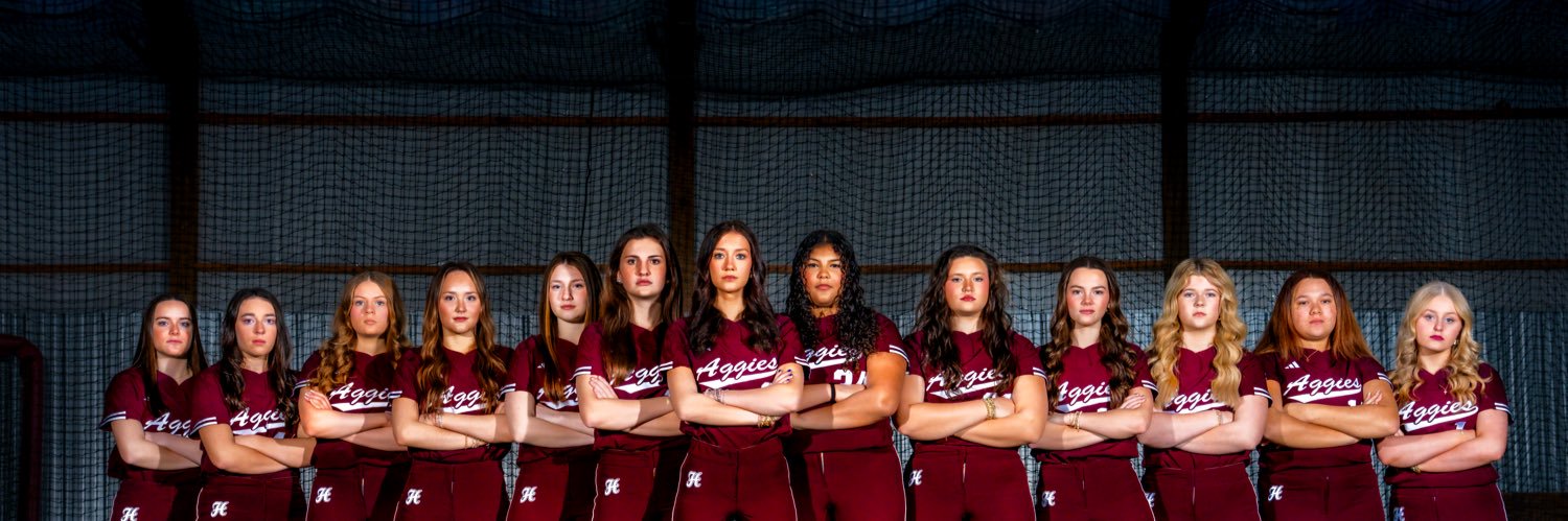 Hamilton Softball banner