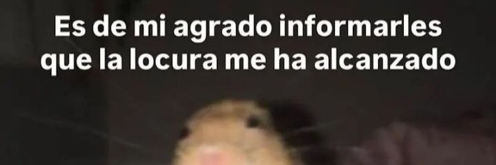JustDoomy🇦🇷🇦🇷🔞 banner