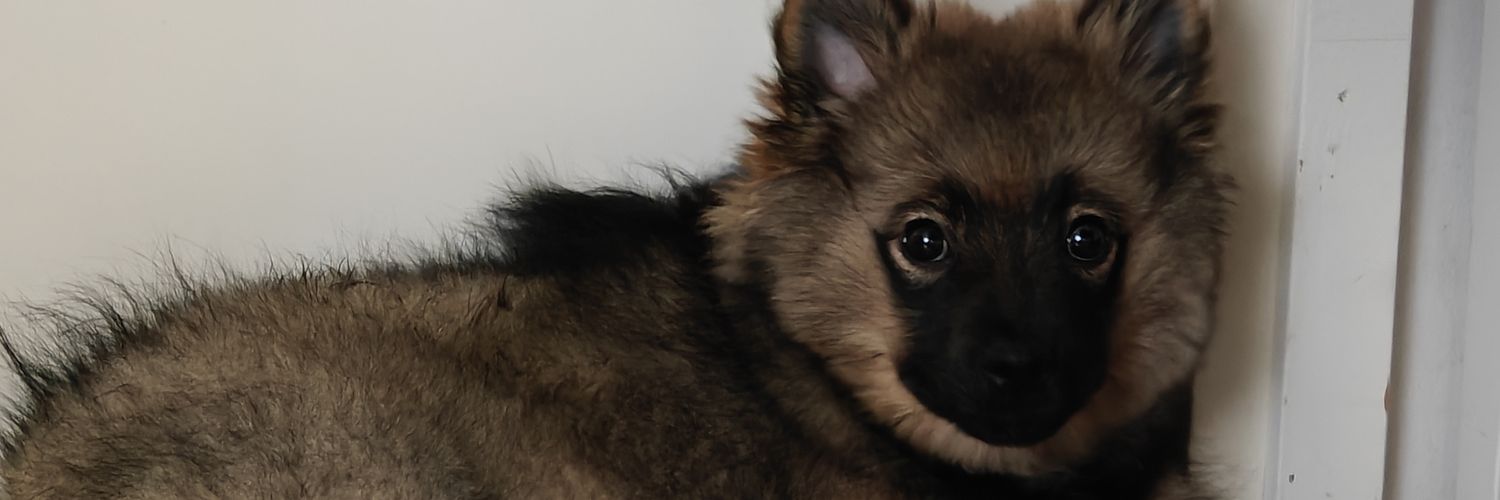 Teemu Purje🇫🇮 banner