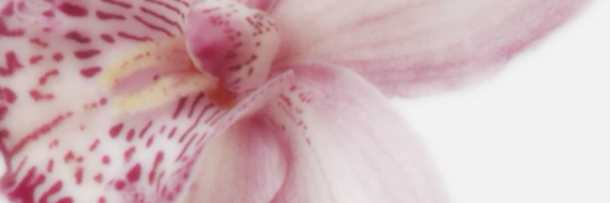 Rubygracesyou's profile banner image