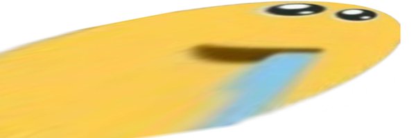 pavlova672382 Profile Banner