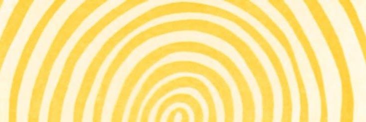 Bee🐝🍯💛 banner