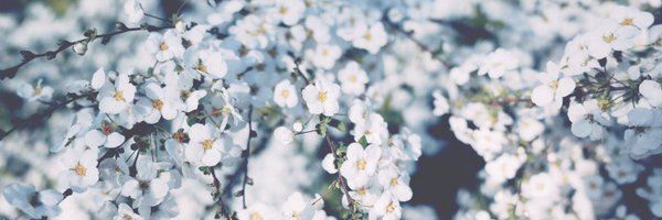 qvnashi Profile Banner