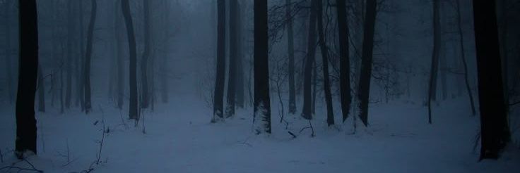 ErrorPersinuaw's profile banner image