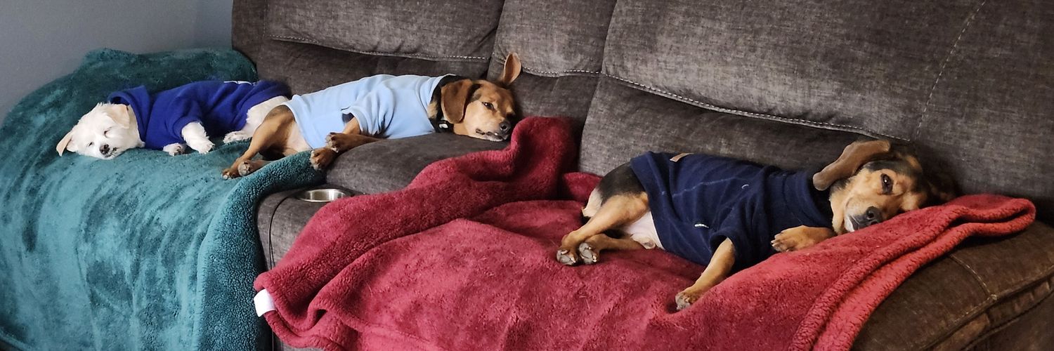 JFive 41Savage banner