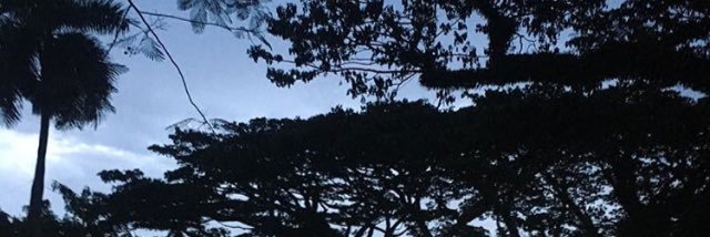 justjessfj's profile banner image
