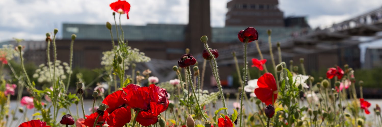 Florian van Hunnik banner