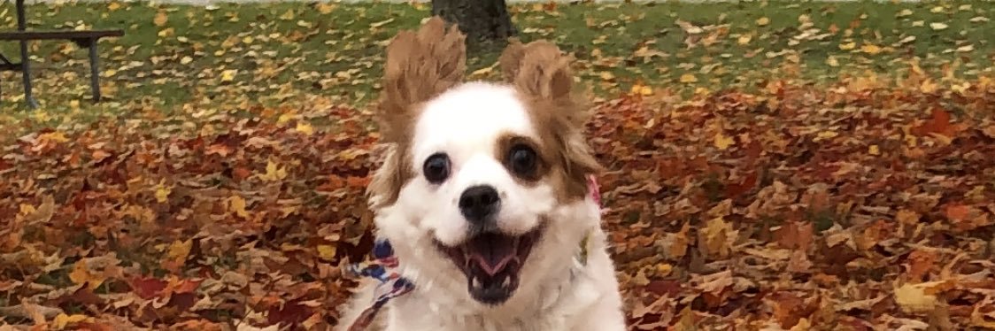 Melanie Diebold banner