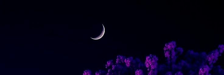 N_A_TU1's profile banner image