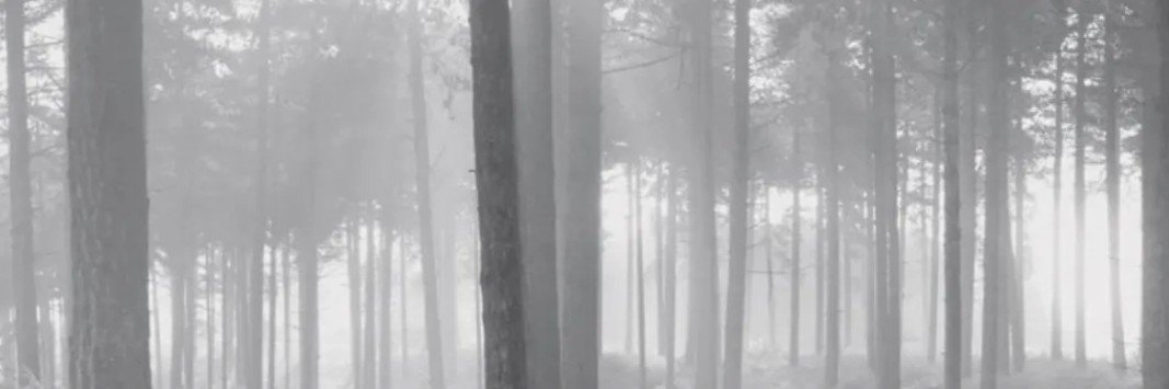 kuut4rr's profile banner image