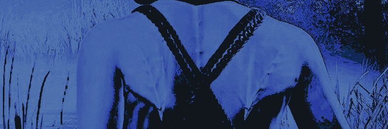 ʟᴜʀɪᴇ.'s banner
