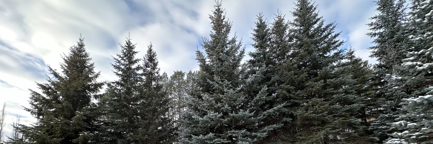 Marie is a Bird Nerd 🤓🦉📸 banner