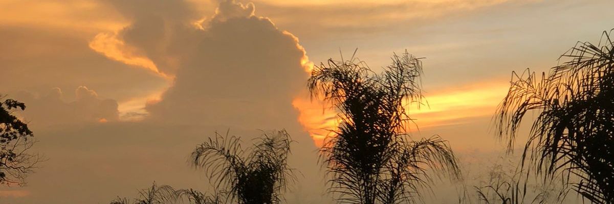 KaleDavid24263's profile banner image