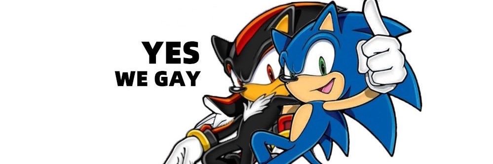 evilbluesonic's profile banner image