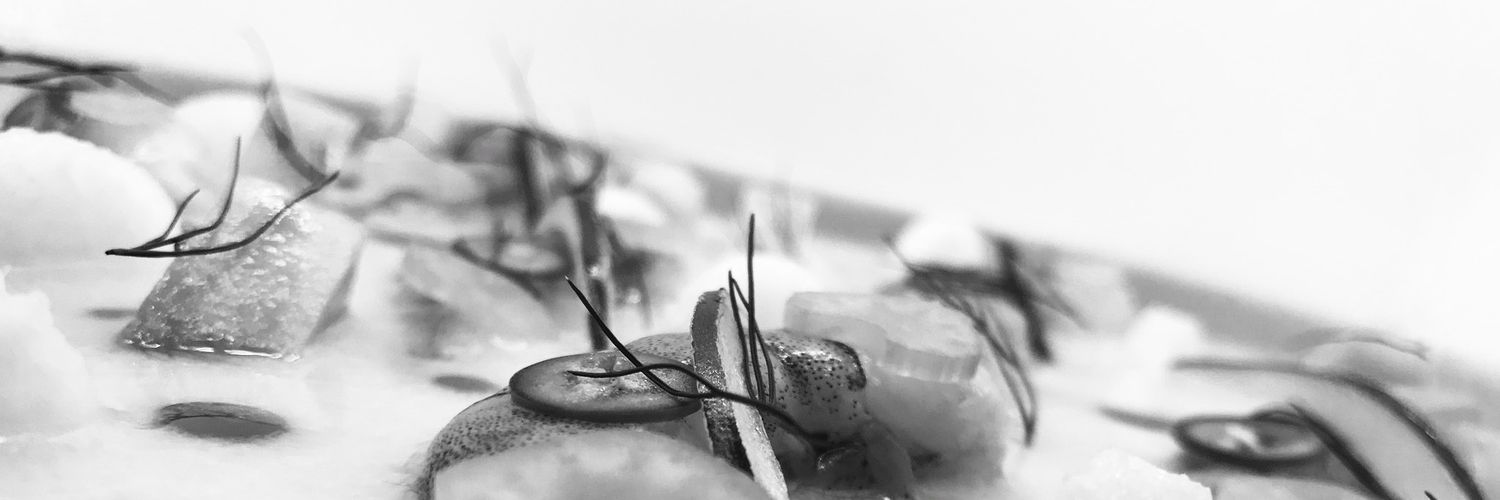 sincesarr's profile banner image