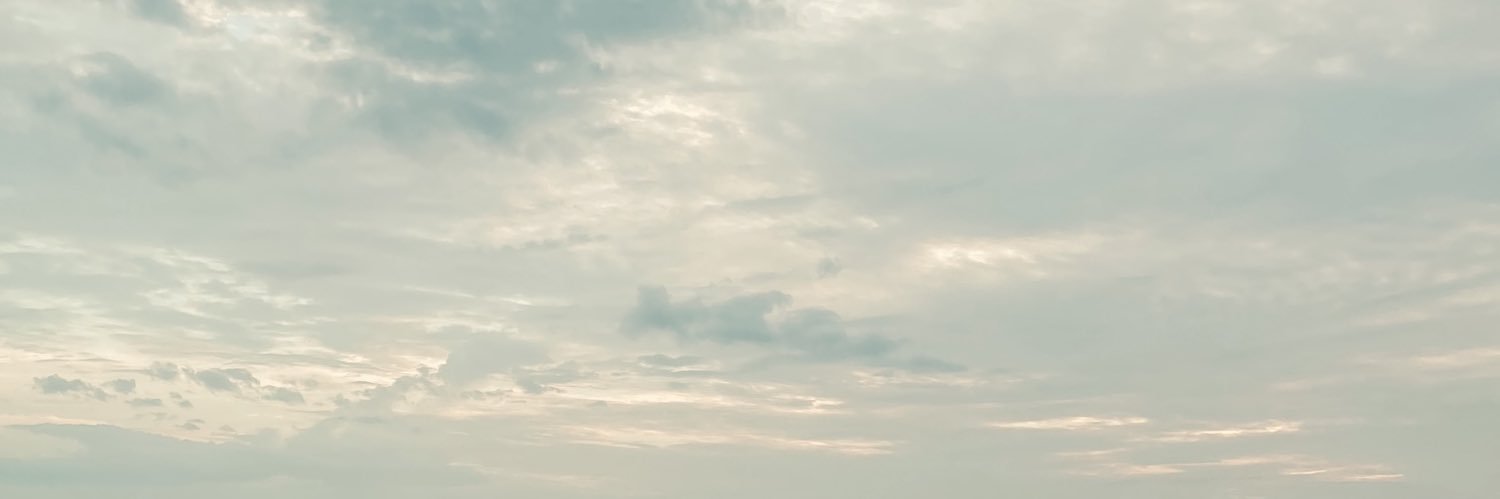 Ayisha Shirin's banner