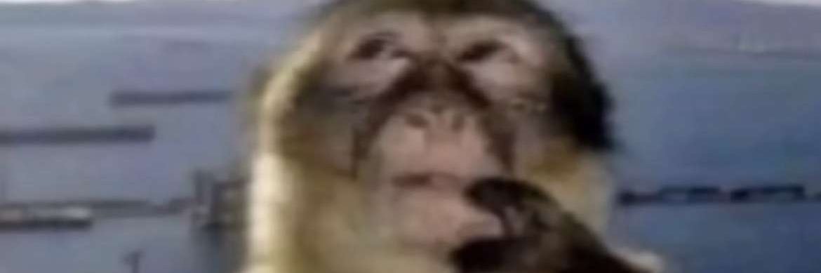 sevtember_'s profile banner image