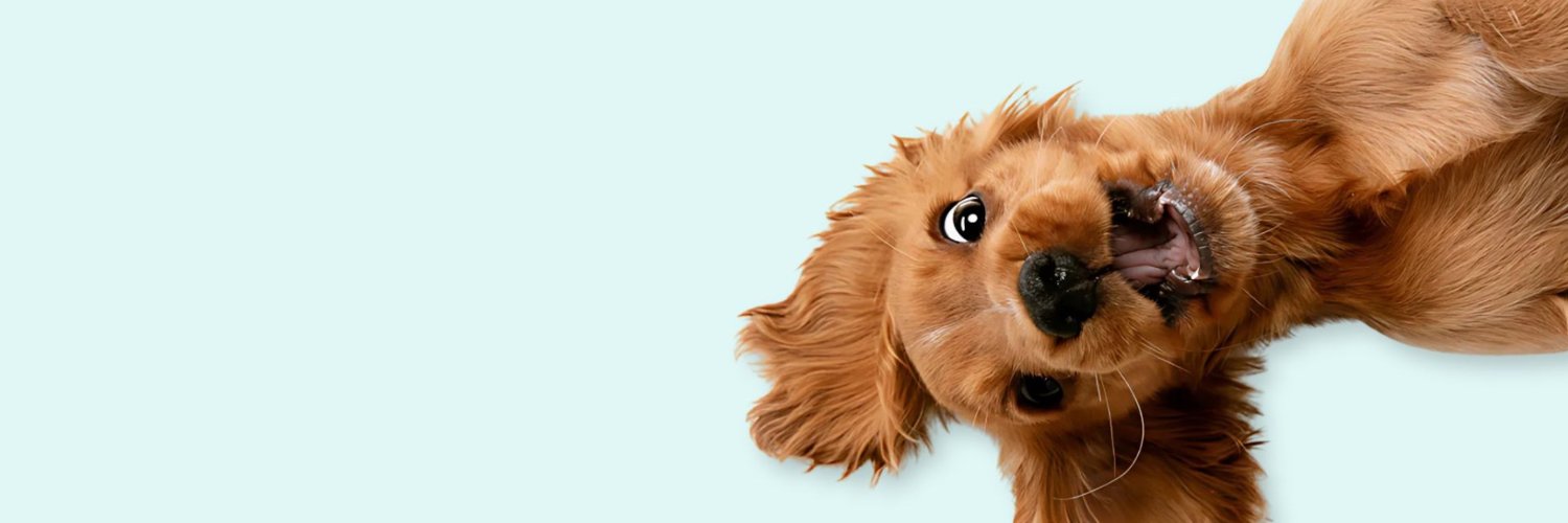 happyhoundsshop's profile banner image