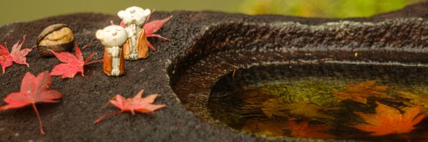 TakumiCamera_P Profile Banner