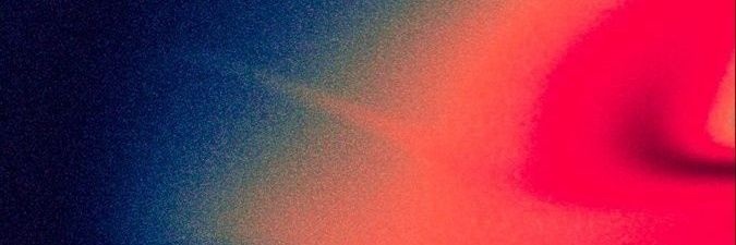 LaVision 🌻 banner