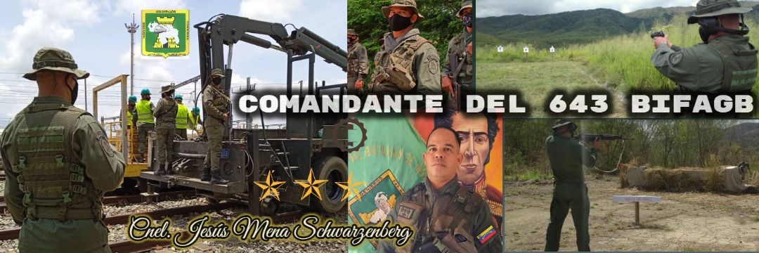 Jesus Gerardo Mena Schwarzenberg banner