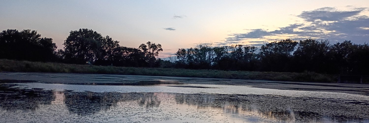 gregorypeary's profile banner image