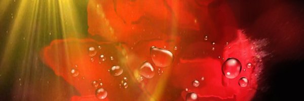 deannar906 Profile Banner