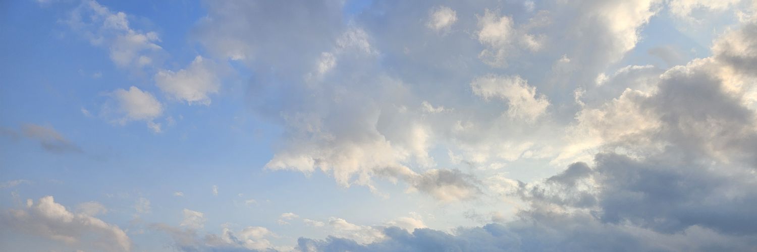 녕시미 banner