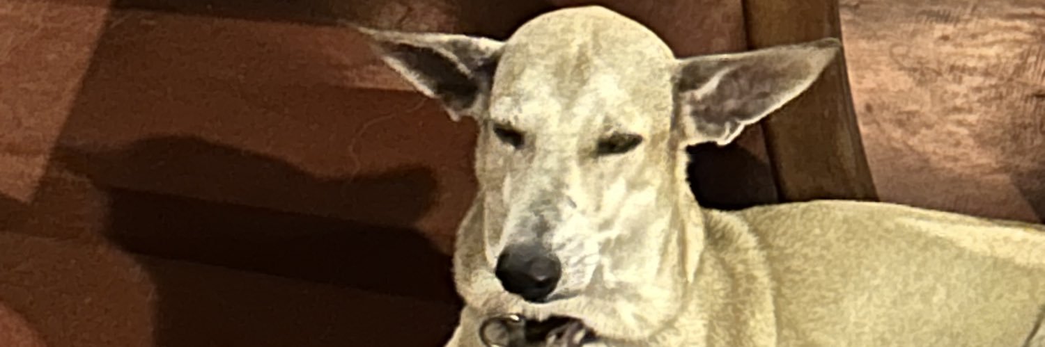 ProbablyDrankin's profile banner image
