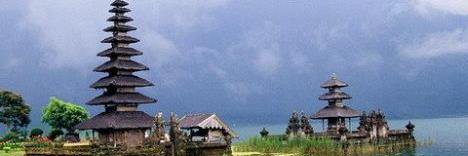 constance vogler banner