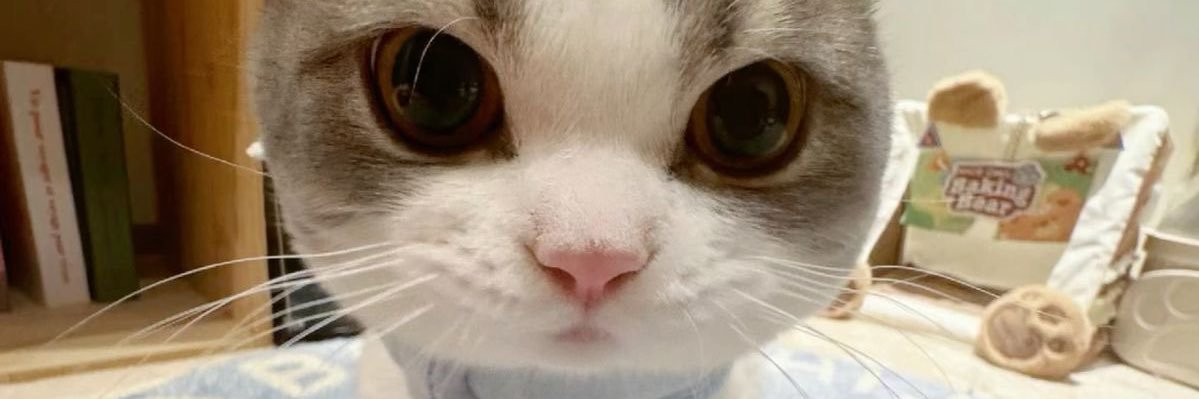 jongwunyang's profile banner image